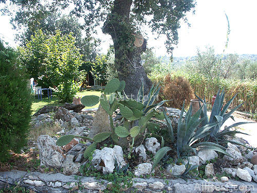 Villa Lucia 12